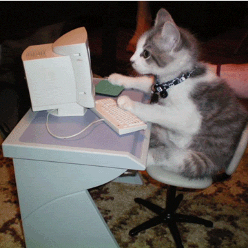 Gato programando animado
